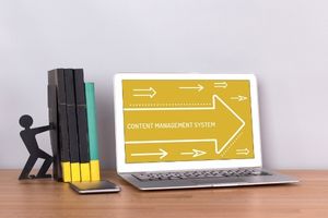 Content Management Systems